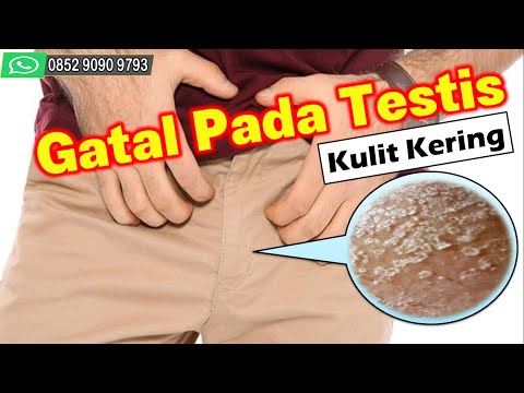 Gatal Pada Testis (Kulit Kering)