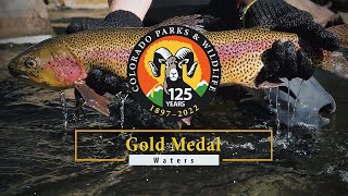 Colorado's newest Gold Medal waters  Gunnison and Taylor rivers