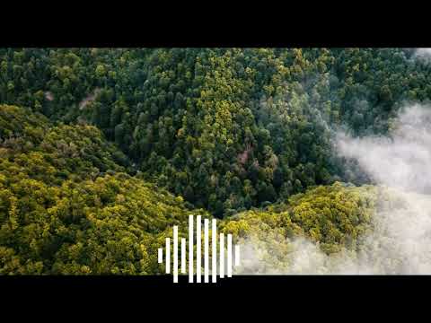 FAARFANNAA AFAAN OROMO HAARAA BARA 2025