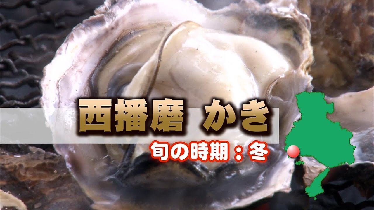 赤穂の牡蠣は別格の美味しさ 解禁 美味しい時期 食べ放題情報まとめ 暮らし の