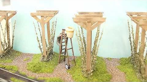 Building an O-16.5 Hop Garden model railway part 4.......Completion!