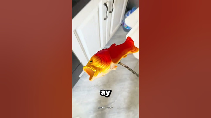 He mistakes his flip-flop for a fish 😂