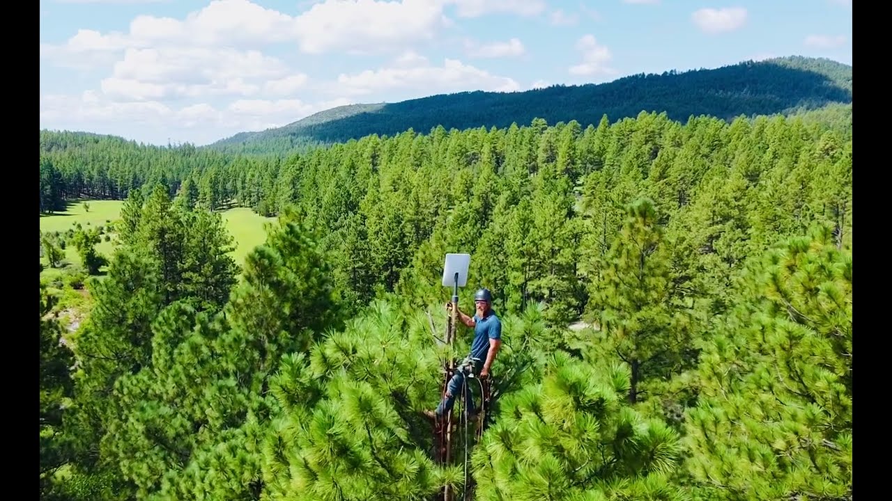 Starlink Tree Installation by ClearView Satellite Solutions YouTube