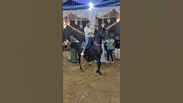 رقص خيل مستر فخر و احمد محمد خلف 2022 