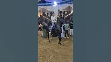 رقص خيل مستر فخر و احمد محمد خلف 2022 