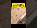 現代大工は替え刃派？　#shorts #大工 #大工の竜ちゃんねる #diy #北海道