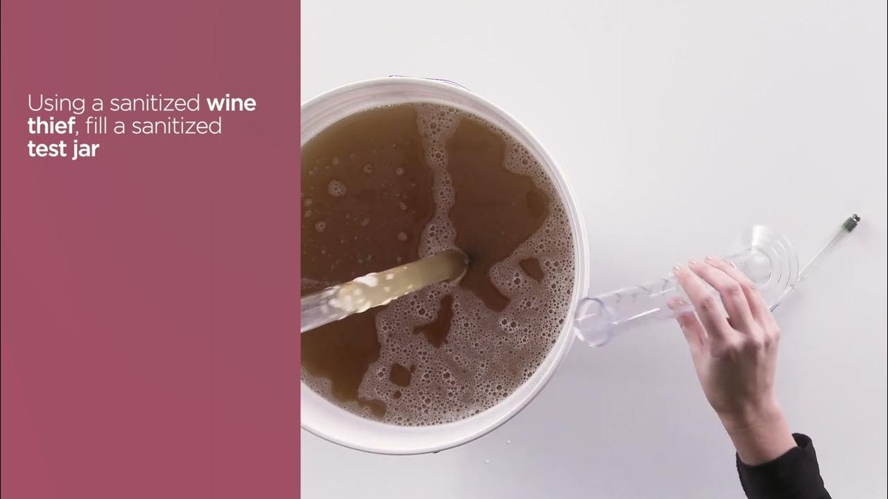 How To Use a Hydrometer YouTube