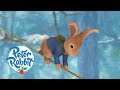 #StayHome Peter Rabbit - Saving Cottontail | Cartoons for Kids