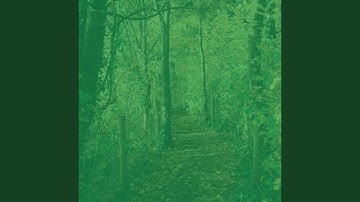 Pulsating Ambience for Yoga Flowing