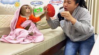 Are you okay, Lyly??? Monkey Lyly decided to stay home when the weather was bad.