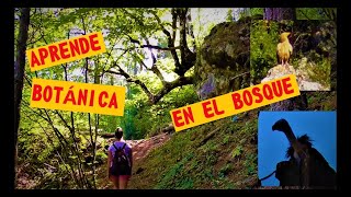 BOTANICA, ruta  SENDERO BOTÁNICO, de la HOZ  de BETETA.