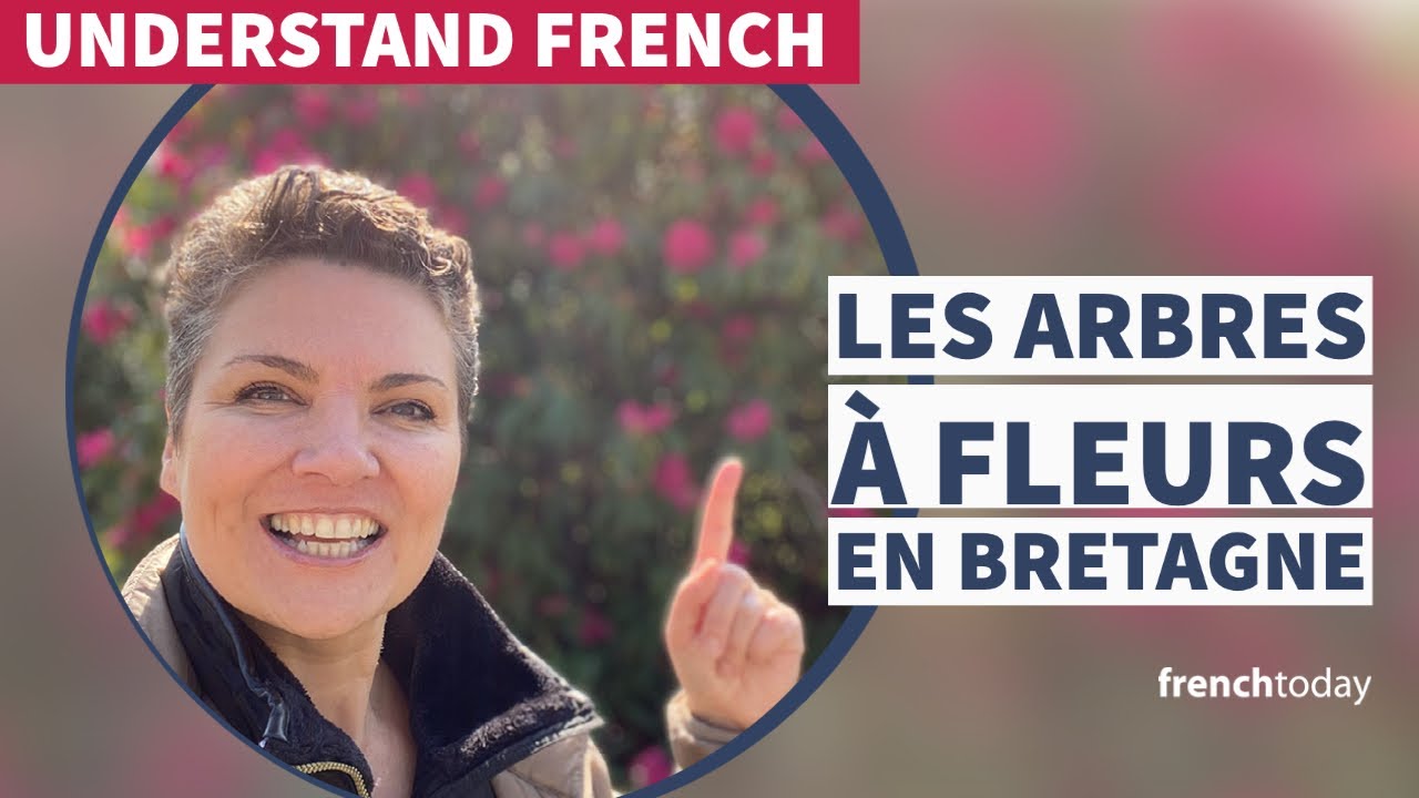 Les arbres en fleurs en Bretagne - Flowering trees in Brittany - Understand French