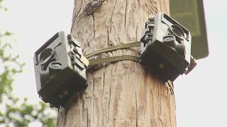 Cameras capture Augusta city park usage