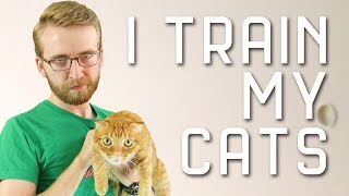 I Train My Cats With PSYCHOLOGY