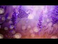 Beautiful Relaxing Calming Music, Cleanse Negative Energy (Calm Positive Energy) Sleep Music★ 64