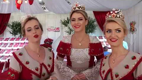 O que conhecer em Lomba Grande?