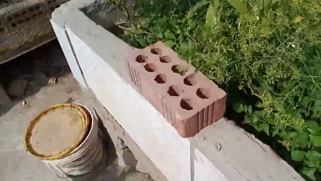 الكرات ومواعيد الزراعه والحصول على بزور الشبت و الخس من البيت