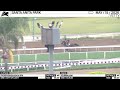 Work of the Day at Santa Anita Park: Journalism & Phosphorescence worked 4 F on May 15th, 2026