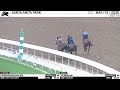 Work of the Day at Santa Anita Park: Journalism & Phosphorescence worked 4 F on May 15th, 2026