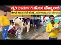         milking machine karnataka dairy farm kannada hainugarike