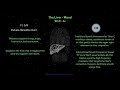 9 Solfeggio Frequencies, The 6 Healing Tones (六音) | Organ | Deep Breathwork and Core Restoration