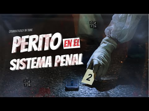 ¿Qué hace un perito en el sistema penal? Conoce su papel en la justicia. Descubre qué es un perito judicial y su importancia en el sistema legal