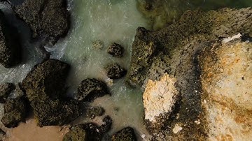 وجعلنا من الماء كل شيء حي - سورة الأنبياء (30)