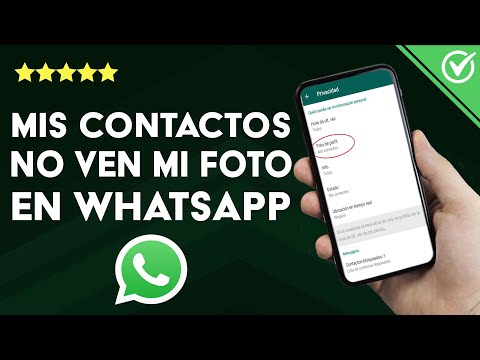 Qué hacer si mis contactos no ven mi perfil en WHATSAPP - Ajustes de privacidad