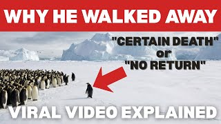 The Nihilist Penguin: Why He Walked Away (Werner Herzog Analysis)