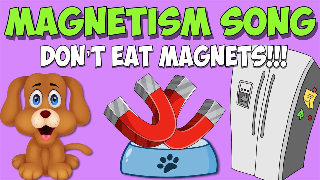 Magnet Song  Dont Eat Magnets