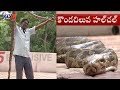 Python Hulchal  In Tirumala near Varahaswami Guest House