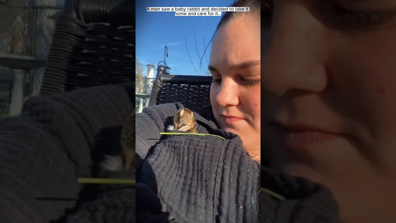 Мужчина спас крольчонка. 