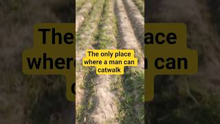 the only place where a man can #catwalk #villagelife #villageboy #agroecology #horsemanship#soil