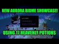 Aurora Biome Showcase Sol's RNG Christmas Update!