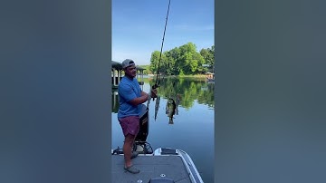 Best Fishing Video 🐟 Amazing Fishing 🔴 | #Shorts #fishing #angeln