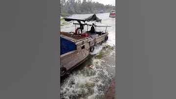 #shorts ghe gổ tranh đua vượt cống nước ngược nhìn đã quá