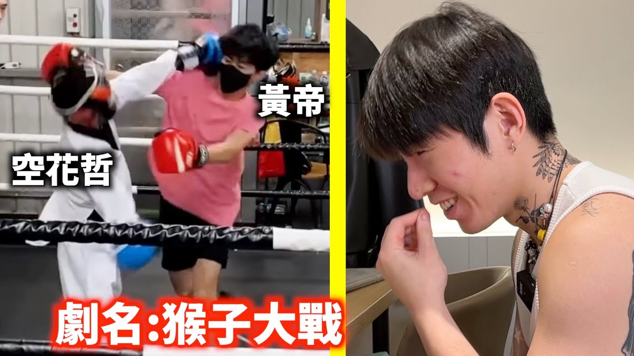 來看看猴子打架｜黃帝、空花哲領銜主演