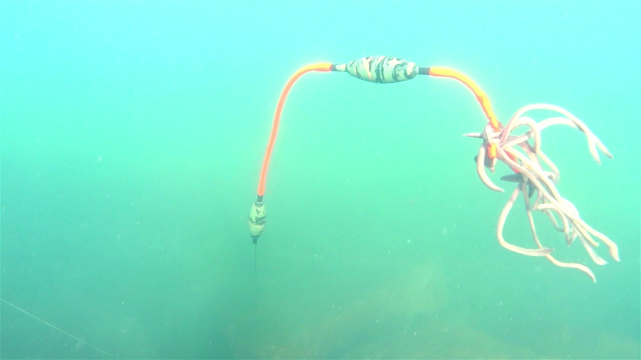 eurosom catfish worm rig / Waller Wurm Montage YouTube