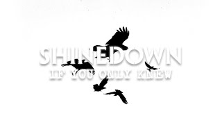 Shinedown: If You Only Knew (Radio Edit) [Lyric Video]