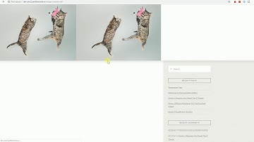 Essential Grid Image Gallery with Image Custom Link
