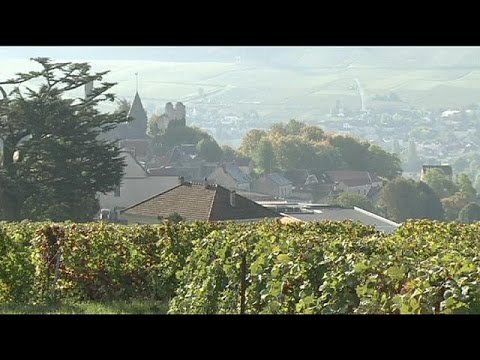 Video: Fransız şarapları Neden Dünyanın En Iyileri Arasındadır?