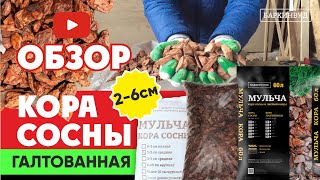 Кора сосны 2-6 см. 