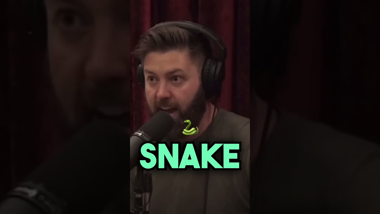  100 FOOT ANACONDA