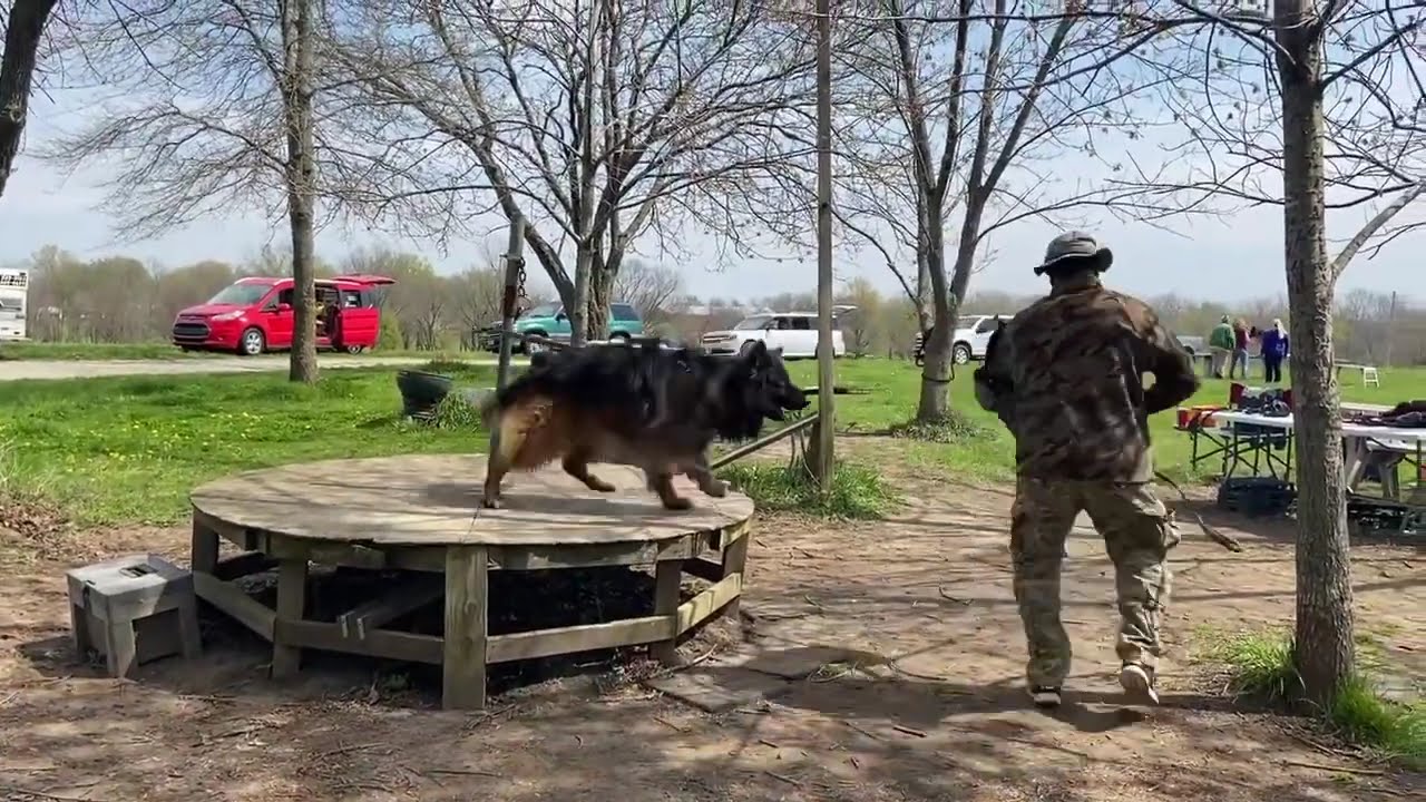 Stoick masters bitework training 