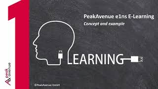 e1ns E-Learning Course Concept