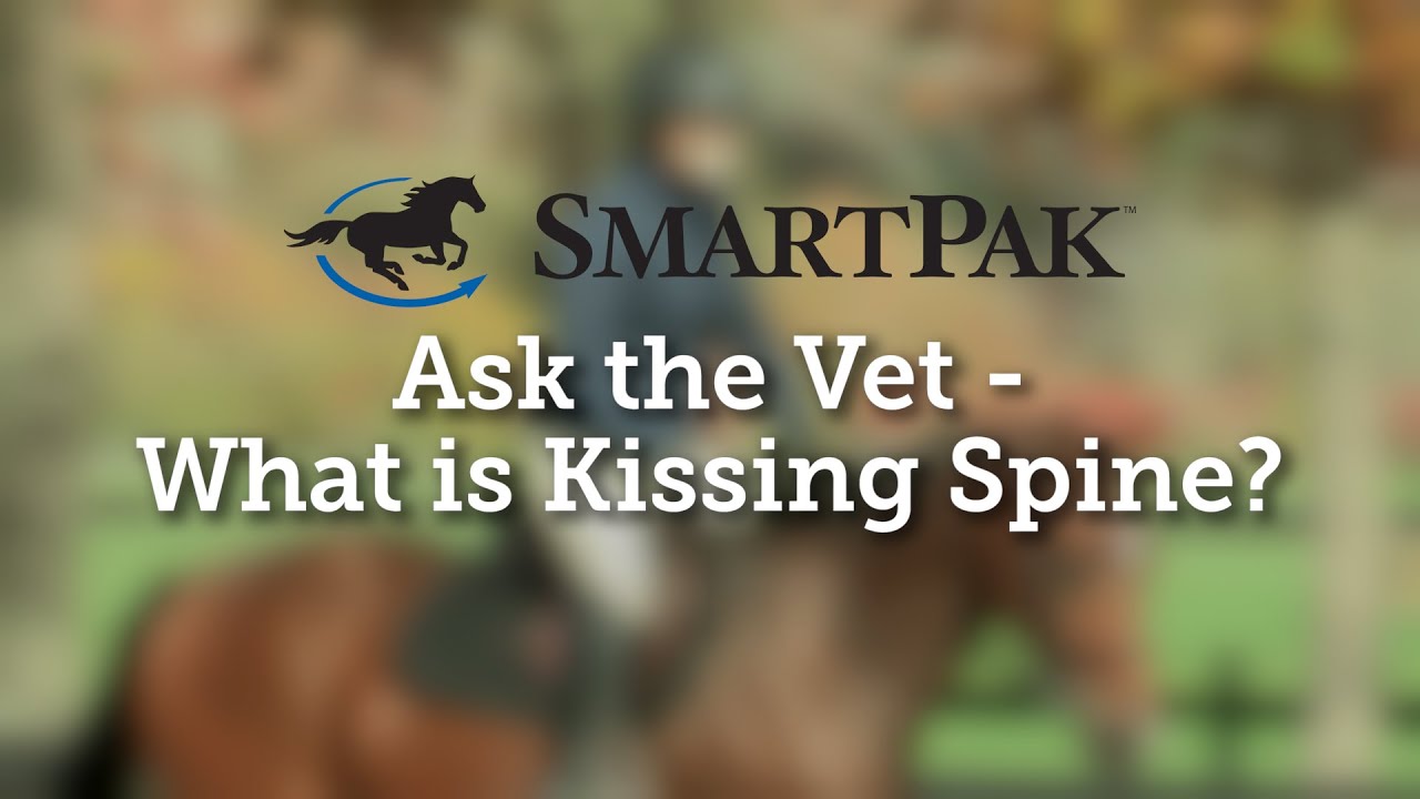 Ask the Vet - What is Kissing Spine?