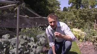 Chris Beardshaw's Green Tips Video Podcast