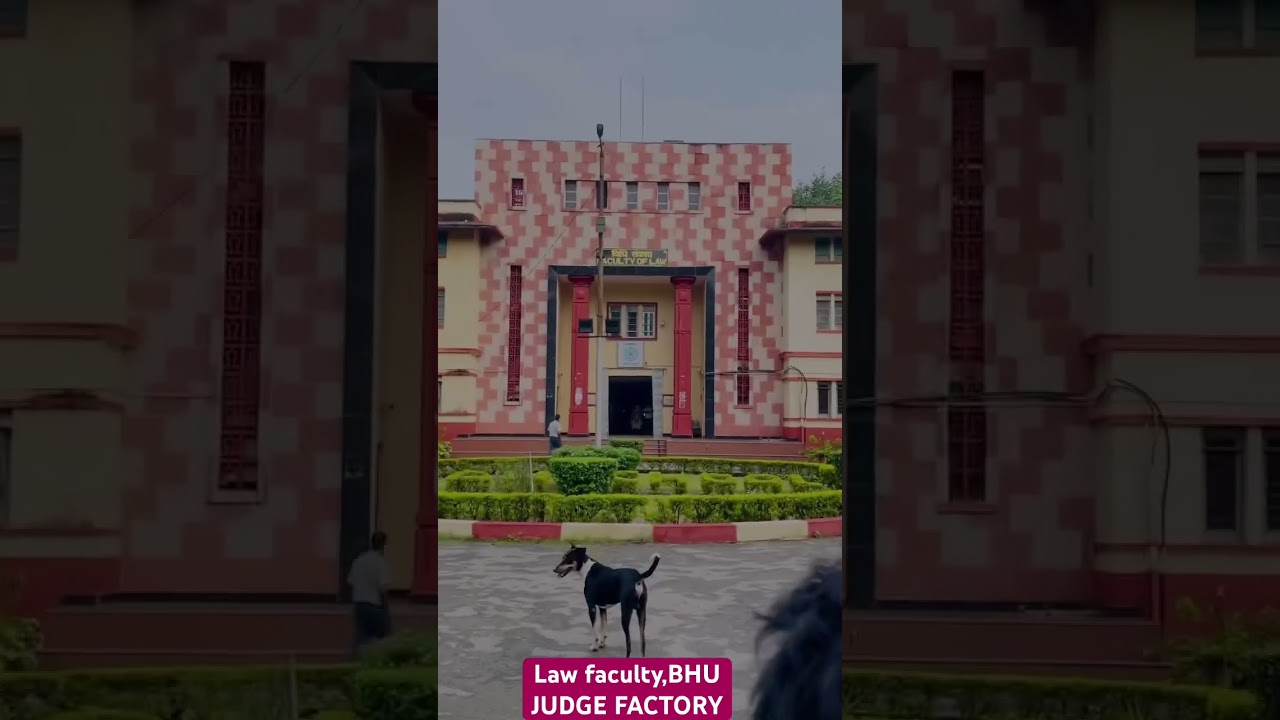 Law faculty BHU || ❤️✌️