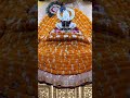khatka lagya shyam ka #jaishreeshyam#shyam#khatushyambhajan #babashyam #shortsfeed #sehar
