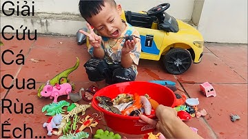 Vui học cùng bé-giải cứu con cá,cua,rùa,ếch…khỏi những con vật đáng sợ cùng pipi nha
